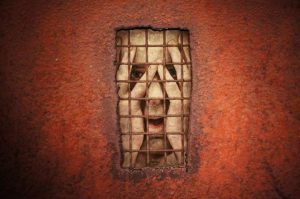 dan witz