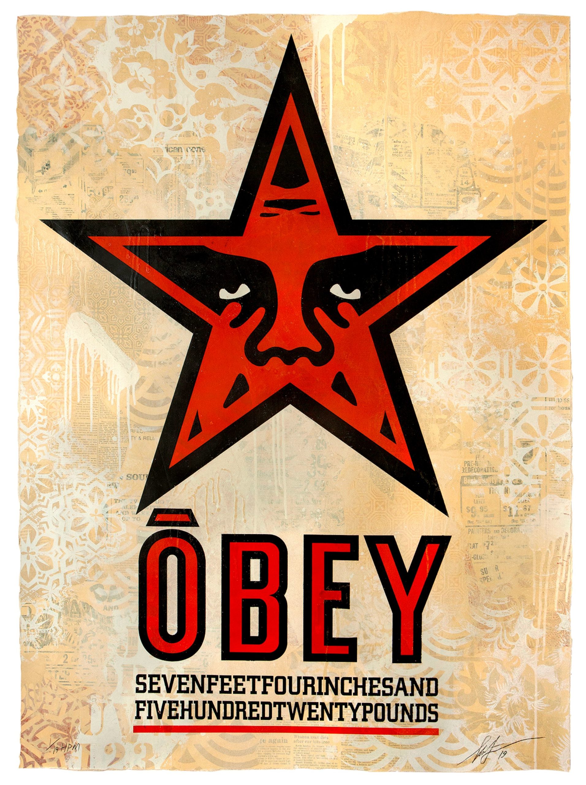 Exposition Obey Lyon