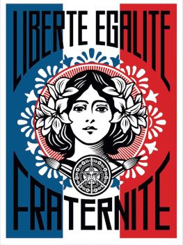 Shepard Fairey, politique