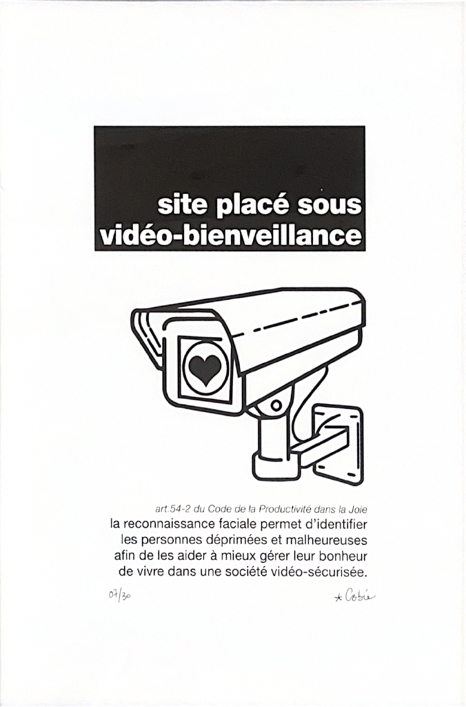 Vidéo-bienveillance